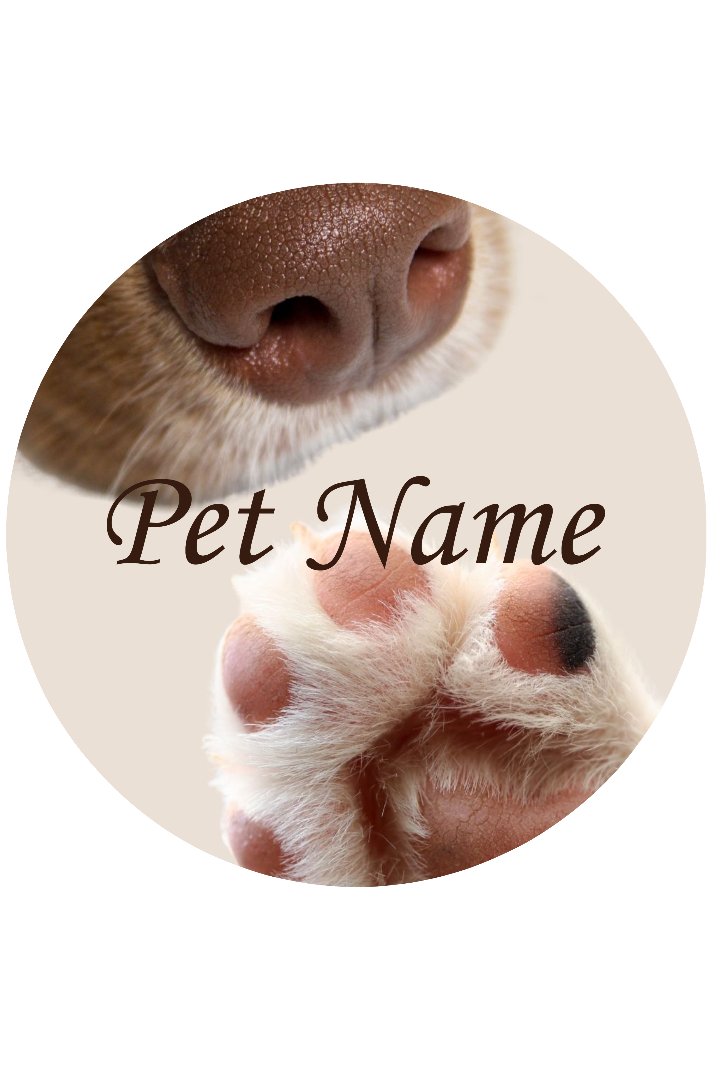 Pet Name